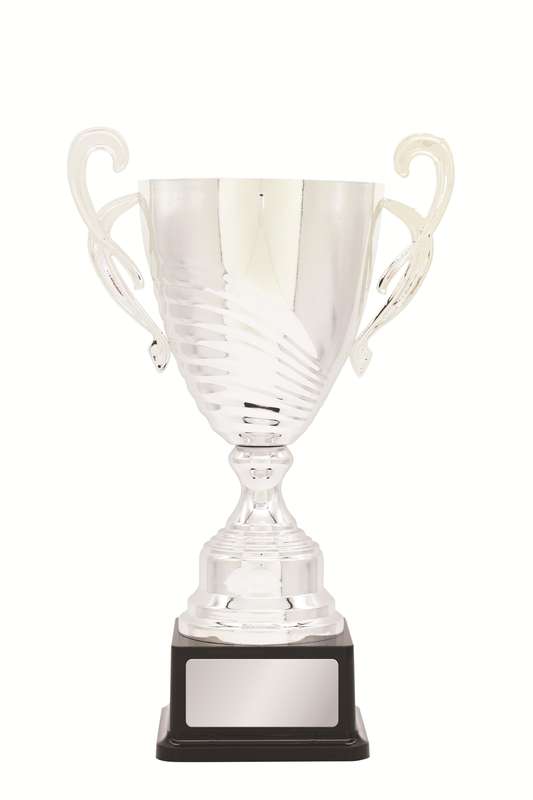 DISCONTINUED - Metal Cup Trophy