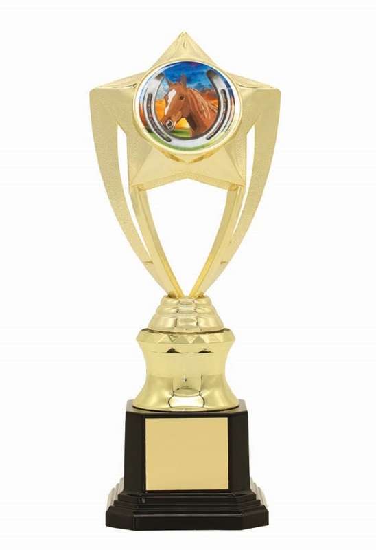 50mm Insert Trophy