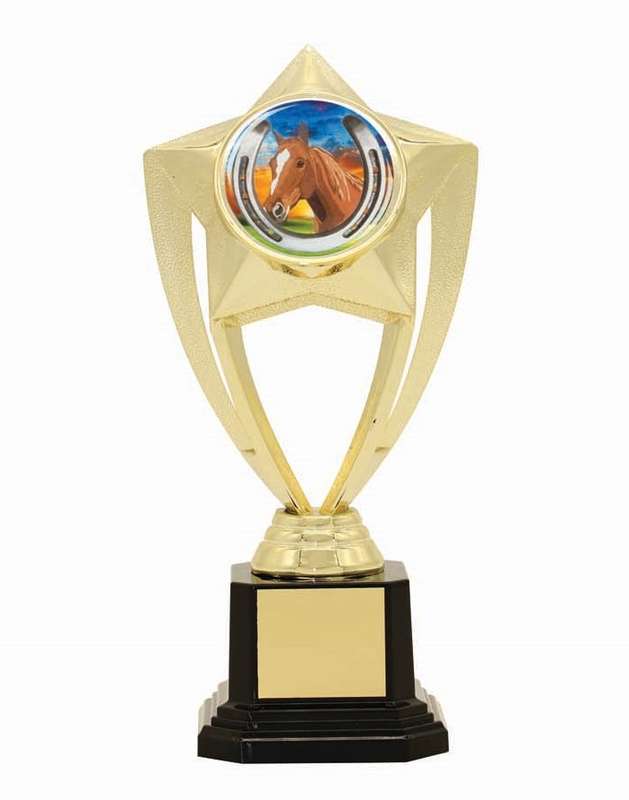 50mm Insert Trophy