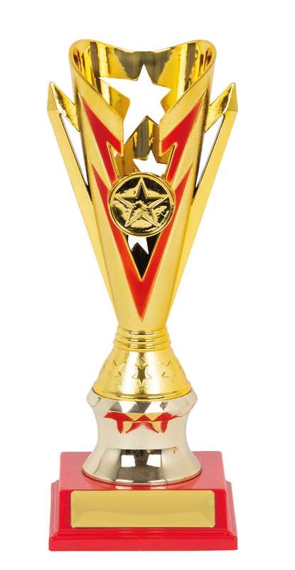 Netball Sport Trophy - 25mm Insert