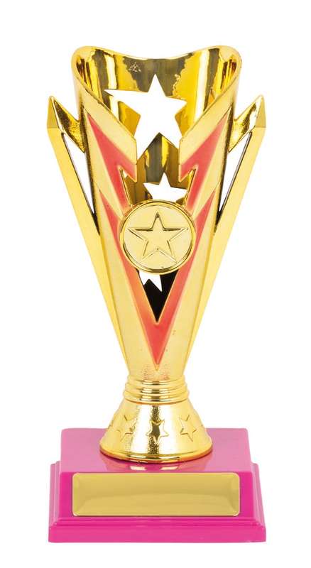 Netball Sport Trophy - 25mm Insert