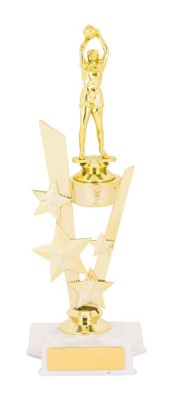 Netball Sport Trophy