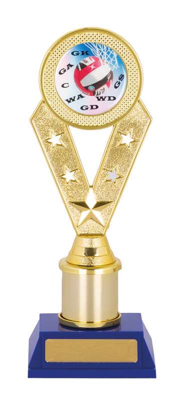 Netball Sport Trophy - 50mm Insert