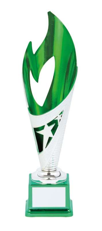 Netball Flame Cup