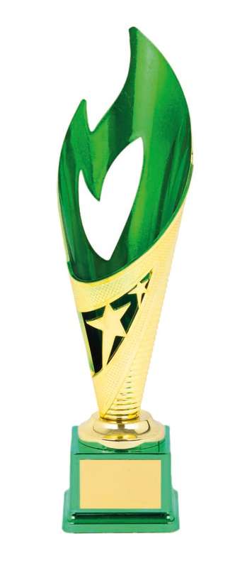 Netball Flame Cup