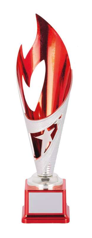 Netball Flame Cup