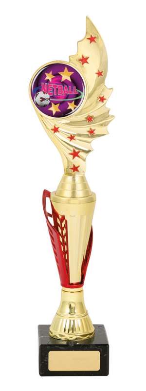 Netball Sport Trophy