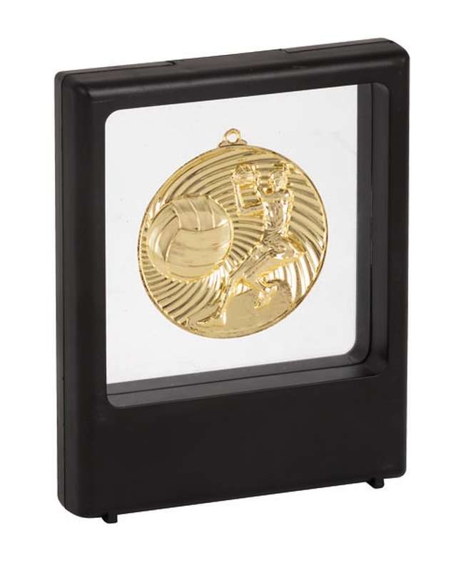 Netball Medal Award