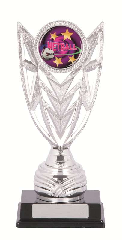 Netball Sport Tropy - 50mm Insert
