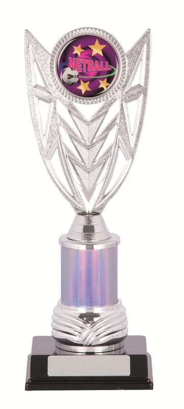 Netball Sport Tropy - 50mm Insert