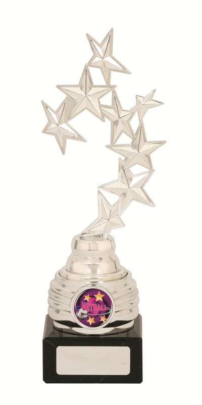 Netball Sport Trophy - 25mm Insert