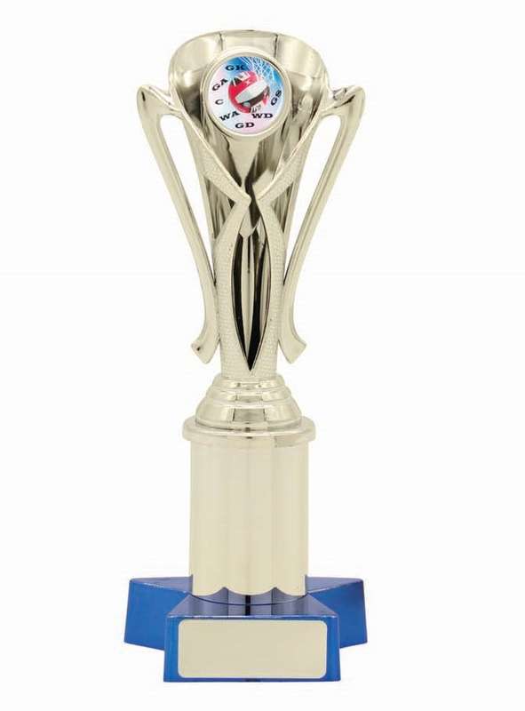 Netball Sport Trophy - 25mm Insert