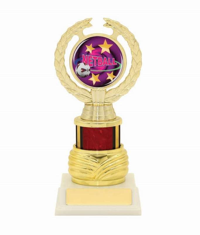 Netball Sport Trophy - 50mm Insert