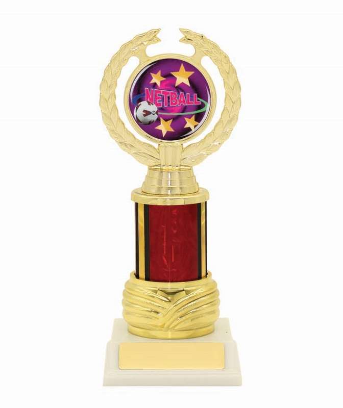 Netball Sport Trophy - 50mm Insert