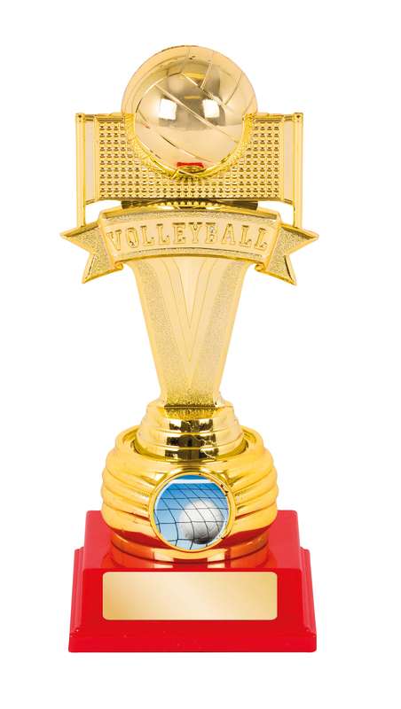 Volleyball Trophy