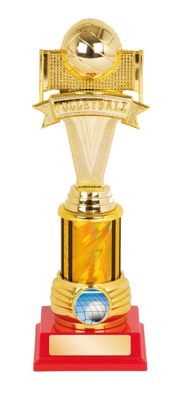 Volleyball Trophy