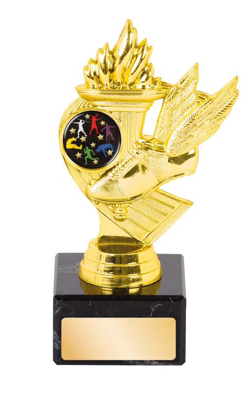 Trophy - Theme/ Figure Holder 1" Insert