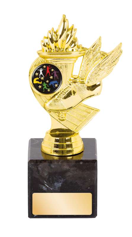 Trophy - Theme/ Figure Holder 1" Insert
