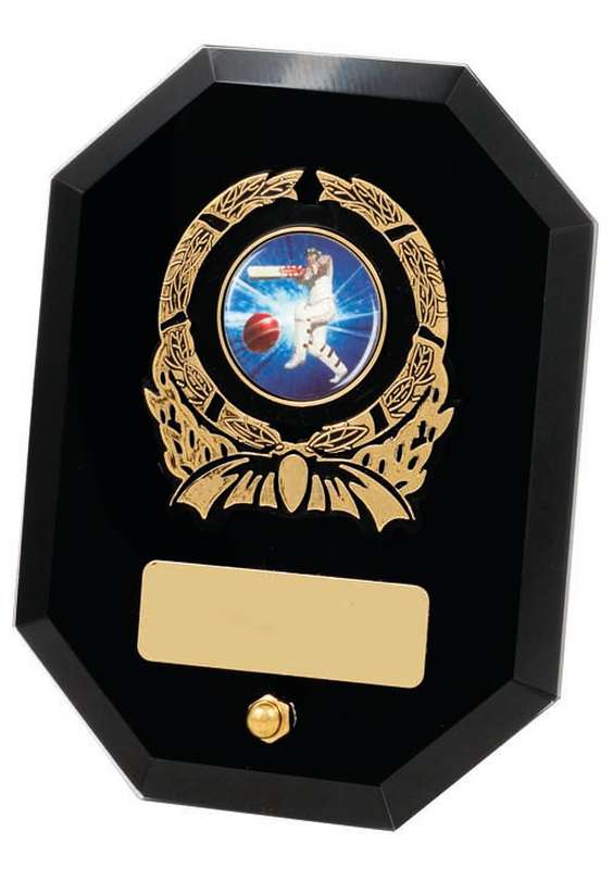 Plaques