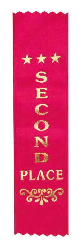 200mm x 50mm – Second Place