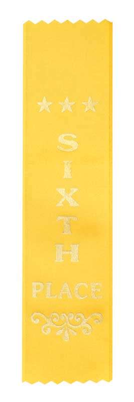 200mm x 50mm – Sixth Place
