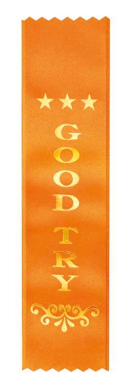 200mm x 50mm – Good Try