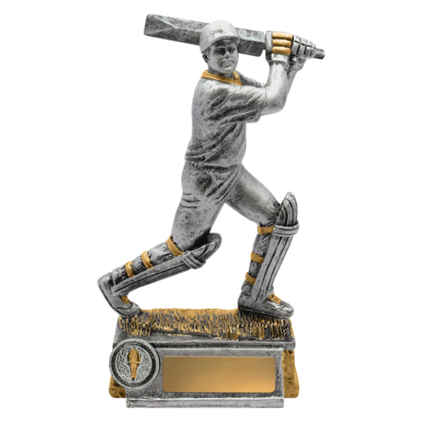cricket award