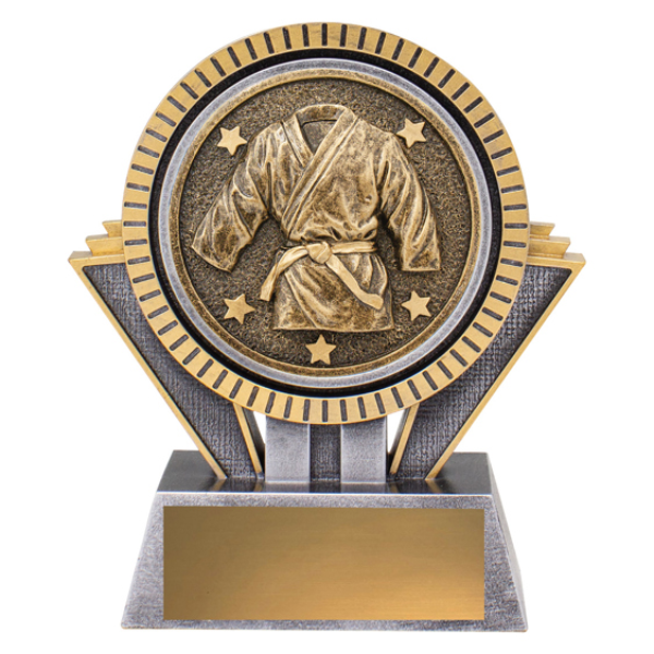 martial arts award