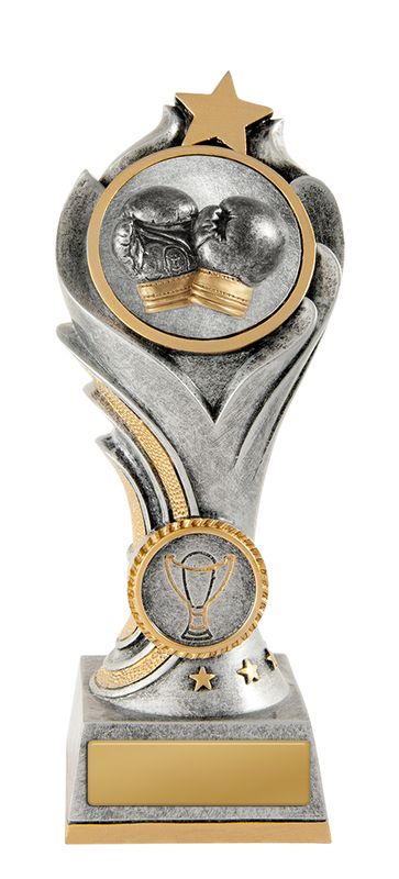 Boxing Aussie Rules Trophy 175mm