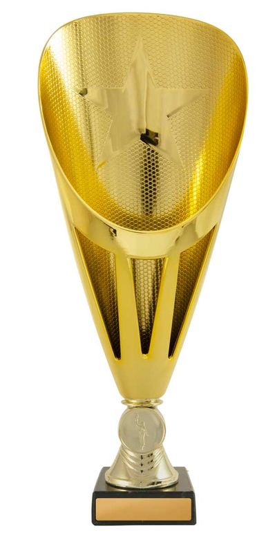 Dance Gold Cup 290mm