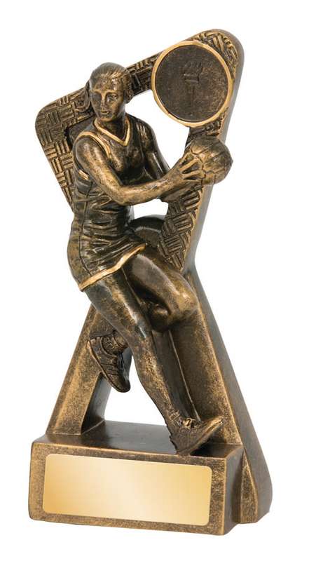 Netball Stinger Series