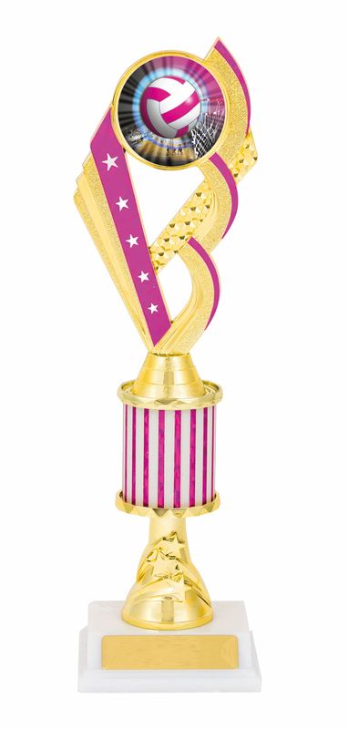 Netball Trophy