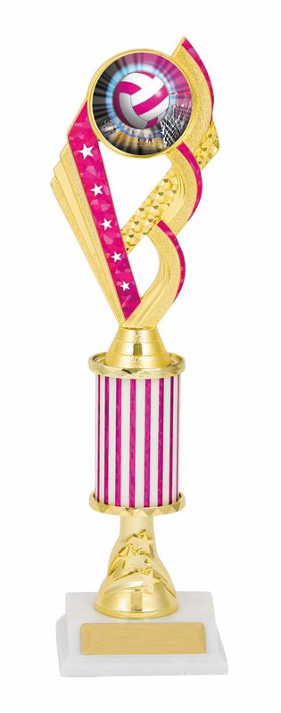 Netball Trophy
