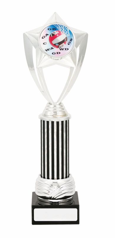 Netball Trophy