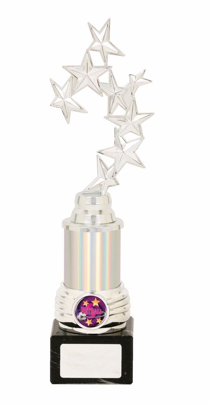 Netball Trophy