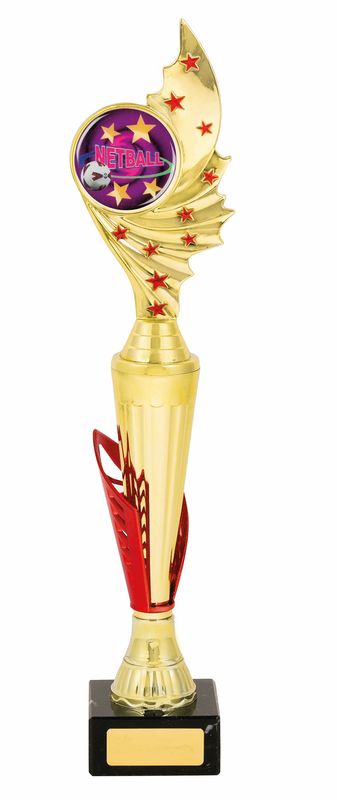 Netball Trophy