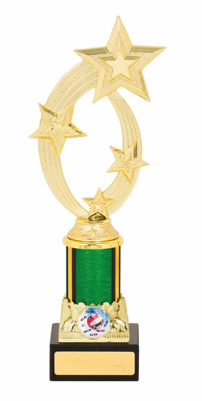 Netball Trophy