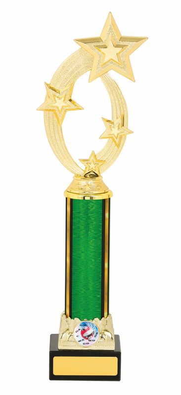 Netball Trophy
