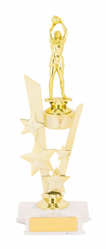 Netball Trophy