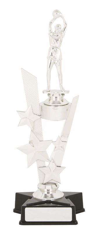 Netball Trophy