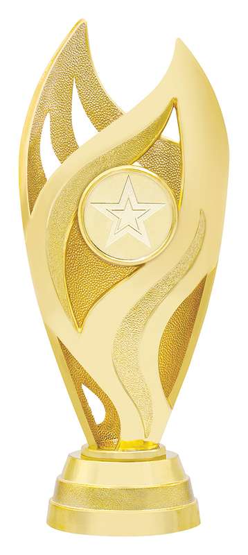 Vision Cup - Gold