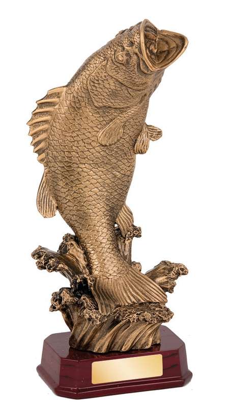 Fishing – Fish