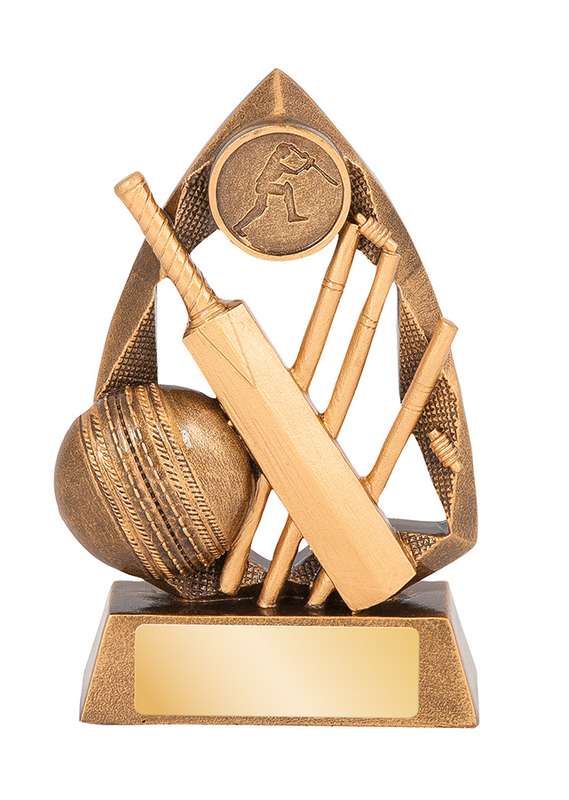 Cricket – 25mm Insert