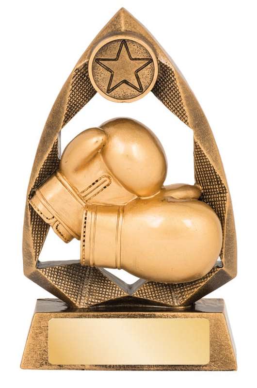 Boxing - 25mm Insert