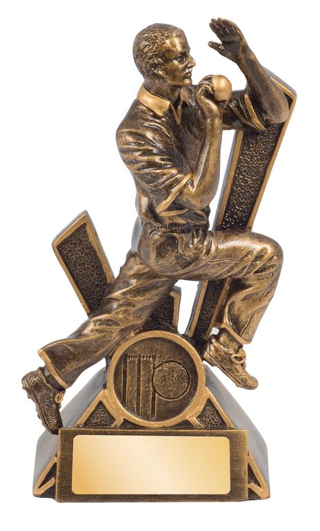 Cricket Bowler Storm Series
