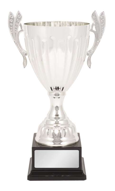 Metal Cup Trophy