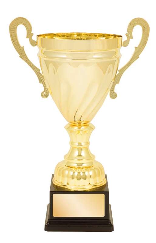 DISCONTINUED - Metal Cup Trophy
