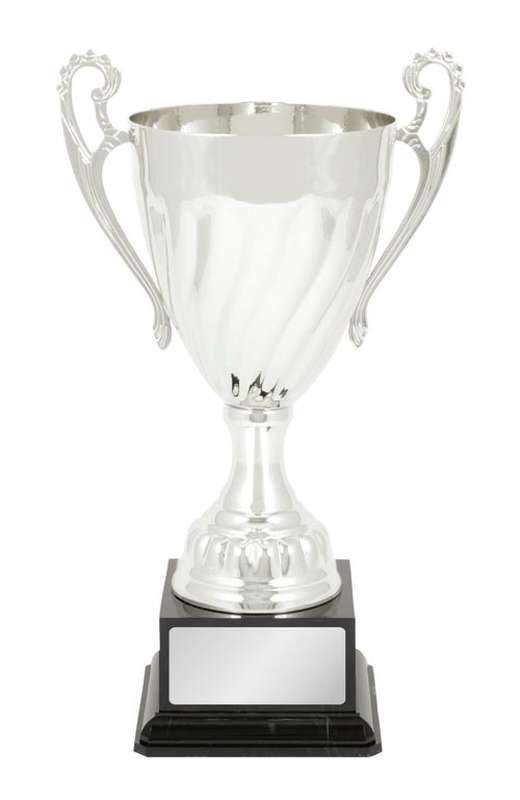 Metal Cup Trophy