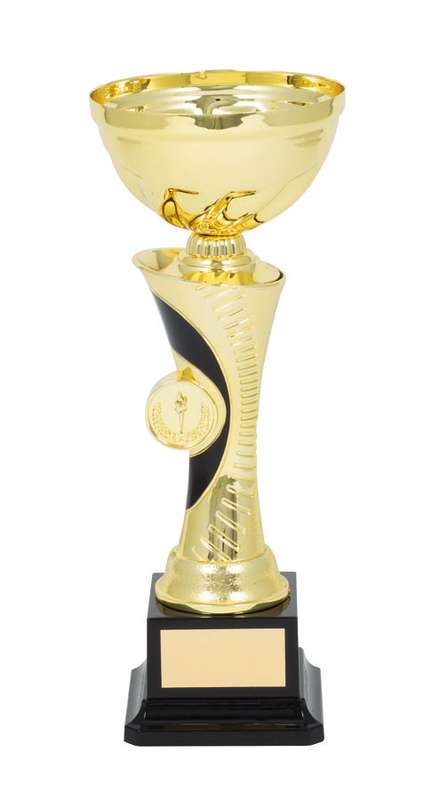 Metal Bowl Trophy