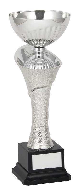 Metal Bowl Trophy